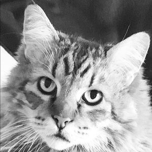 Meet your Posher, Cheryl